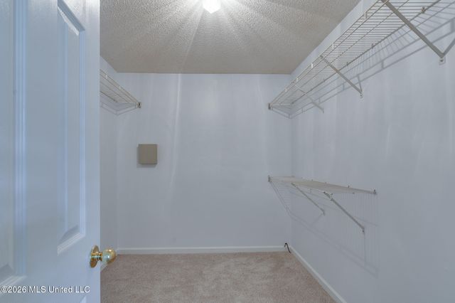 4040 Windermere Drive, Nesbit, MS 38651