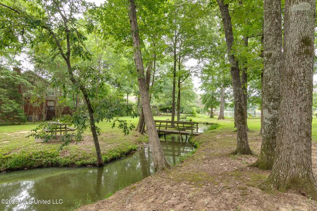 4040 Windermere Drive, Nesbit, MS 38651