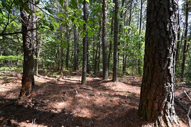 0 Flippo Branch Rd, Clifton, TN 38425