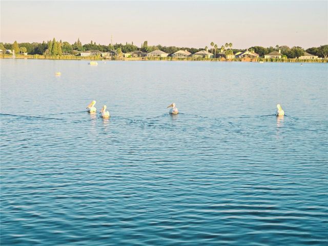 10118 CANNON DRIVE, Riverview, FL 33578