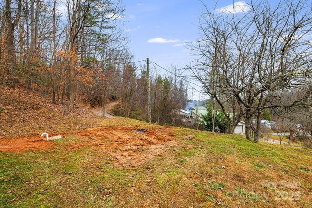 216 Windy Cove Drive, Horse Shoe, NC 28742