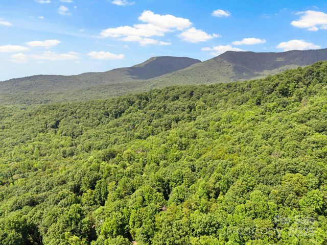 56 Cardinal Circle, Tryon, NC 28782