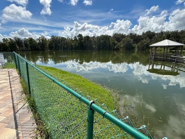 605 SUNNYSIDE DRIVE, Wildwood, FL 34785