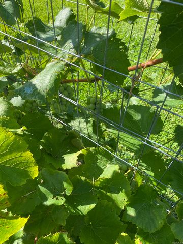 1212 Donaghey Ave., Conway, AR 72034