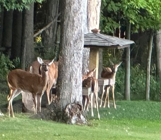 4802 AMHERST Road, Erie, PA 16506