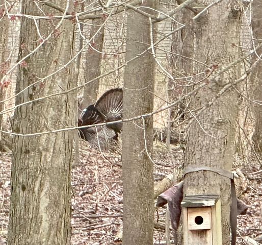 4802 AMHERST Road, Erie, PA 16506