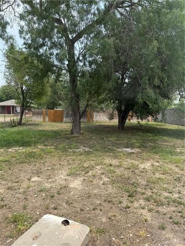 1931 W Owassa Road, Edinburg, TX 78539