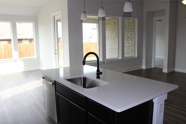 1821 Briar Rose Drive, Denton, TX 76207