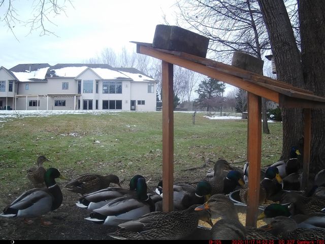 14895 Raspberry Drive, Rogers, MN 55374