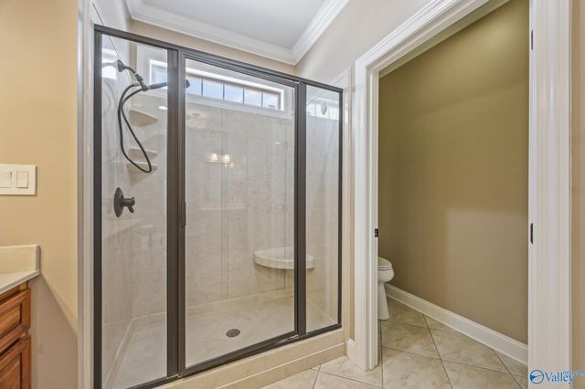 252 Old Overton Drive, Madison, AL 35756