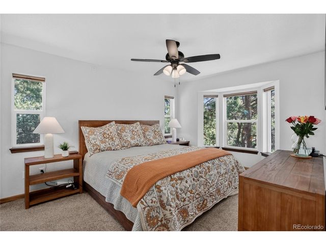 341 Rainbow Trl, Divide, CO 80814