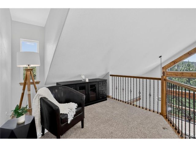 341 Rainbow Trl, Divide, CO 80814