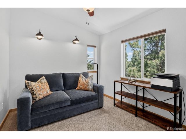 341 Rainbow Trl, Divide, CO 80814