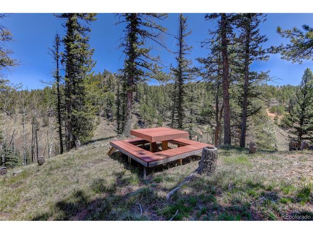341 Rainbow Trl, Divide, CO 80814
