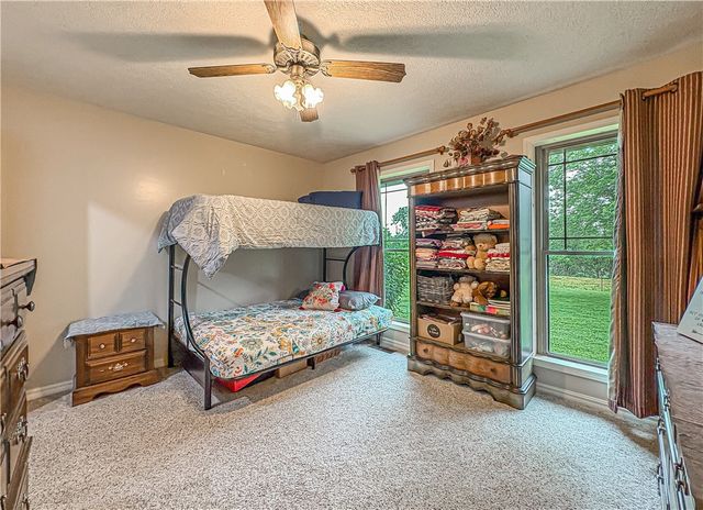 3811 MC 6014, Yellville, AR 72687