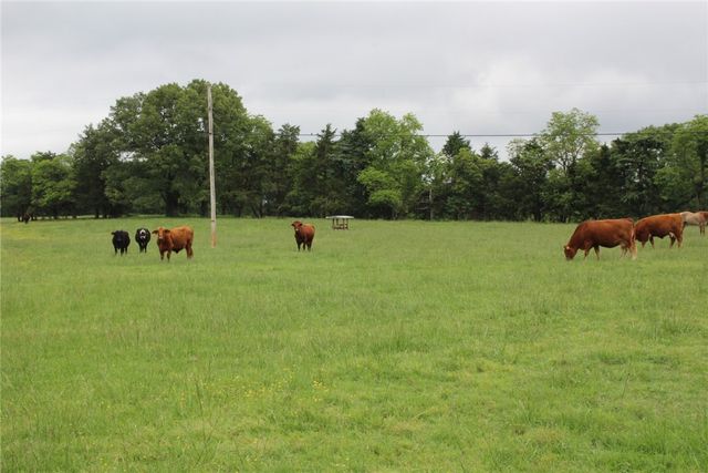 3811 MC 6014, Yellville, AR 72687