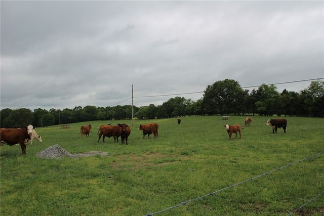 3811 MC 6014, Yellville, AR 72687