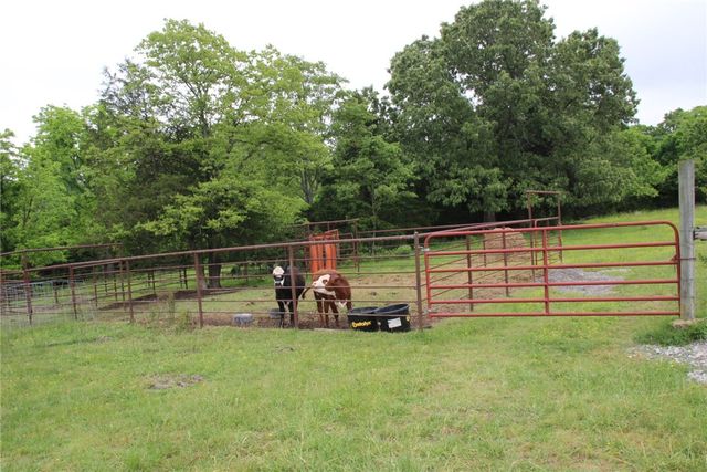 3811 MC 6014, Yellville, AR 72687