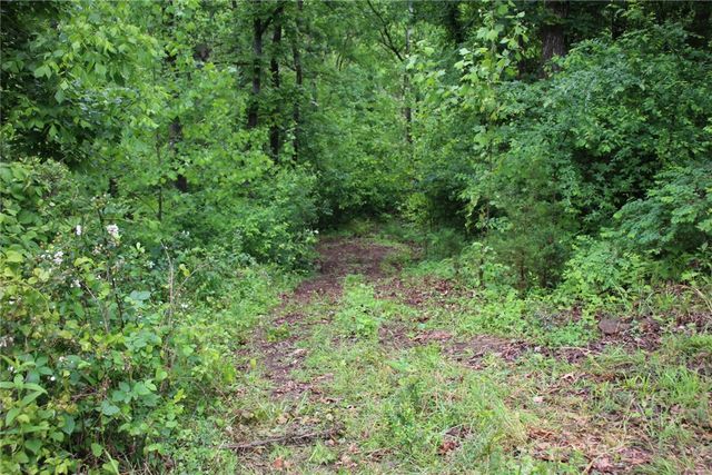 3811 MC 6014, Yellville, AR 72687