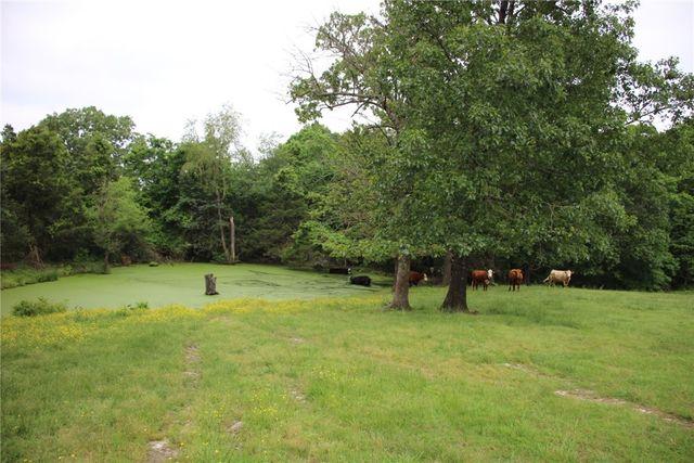 3811 MC 6014, Yellville, AR 72687