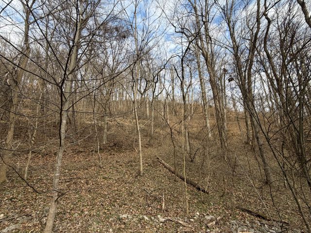 0 Bayside Drive, Lancaster, TN 38569