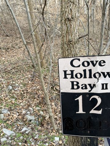 0 Bayside Drive, Lancaster, TN 38569