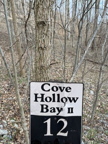 0 Bayside Drive, Lancaster, TN 38569