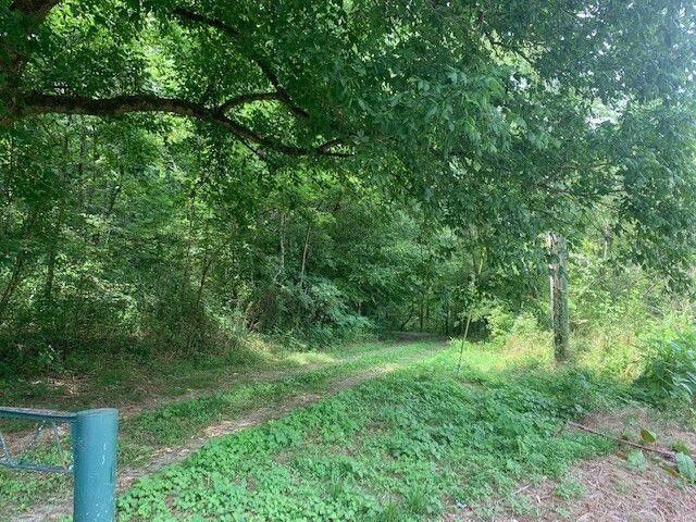 874 County Road 480, Englewood, TN 37329