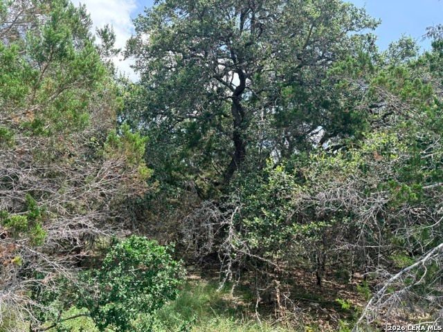 128 CONEFLOWER DR, Spring Branch, TX 78070