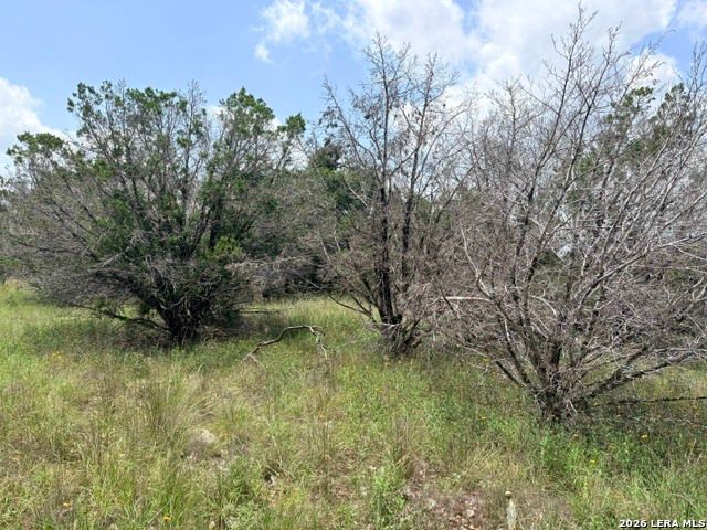 128 CONEFLOWER DR, Spring Branch, TX 78070