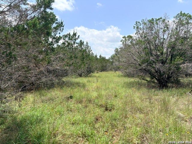 128 CONEFLOWER DR, Spring Branch, TX 78070
