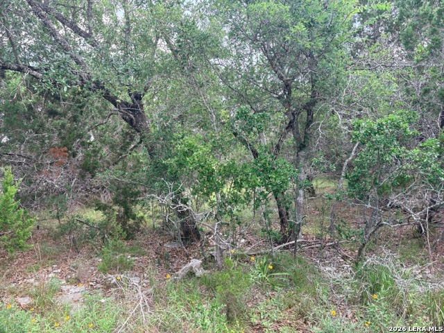128 CONEFLOWER DR, Spring Branch, TX 78070