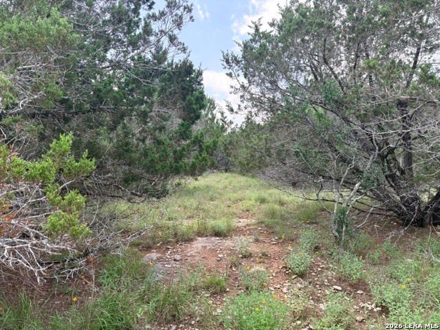 128 CONEFLOWER DR, Spring Branch, TX 78070