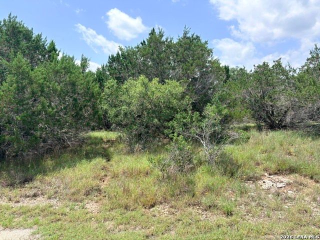 128 CONEFLOWER DR, Spring Branch, TX 78070