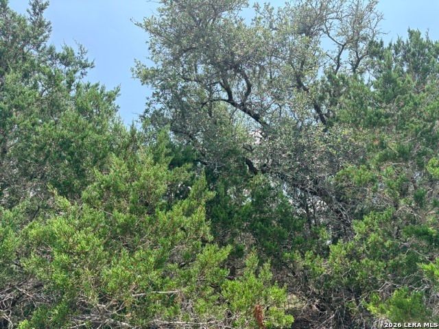 128 CONEFLOWER DR, Spring Branch, TX 78070
