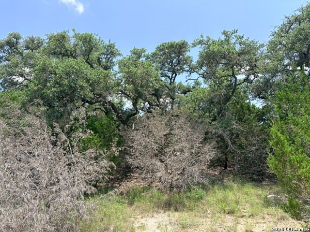 128 CONEFLOWER DR, Spring Branch, TX 78070