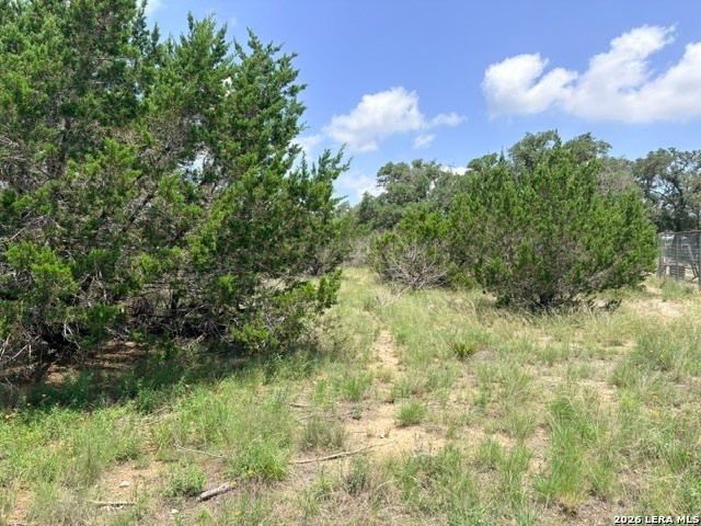 128 CONEFLOWER DR, Spring Branch, TX 78070