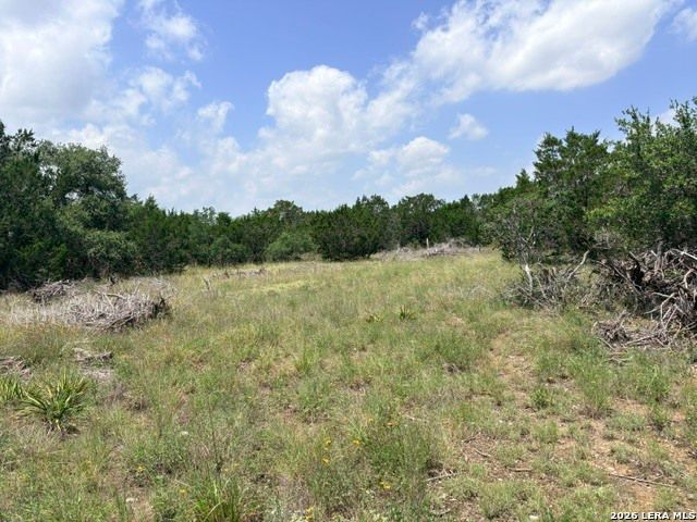 128 CONEFLOWER DR, Spring Branch, TX 78070