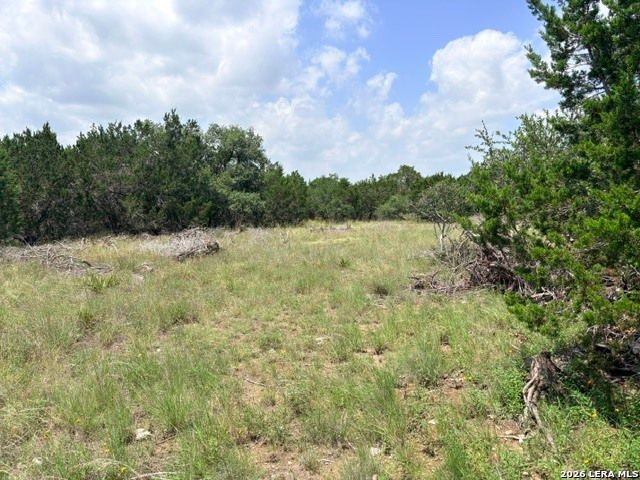 128 CONEFLOWER DR, Spring Branch, TX 78070