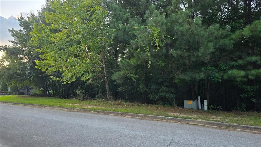 1628 Norris Landing Drive, Snellville, GA 30039