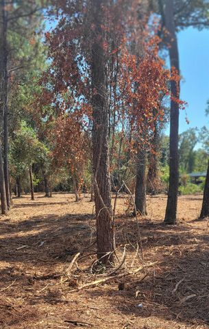 0 Crawfordville Highway, Crawfordville, FL 32327