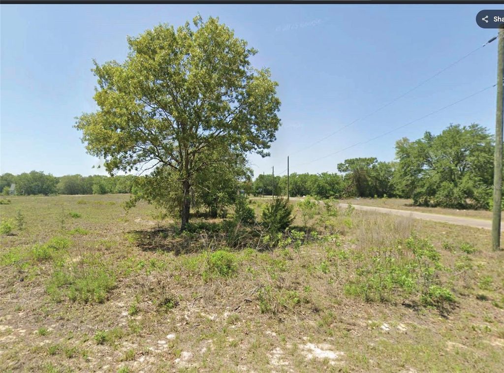 00 GUAVA TRACK TRAIL, Ocklawaha, FL 32179