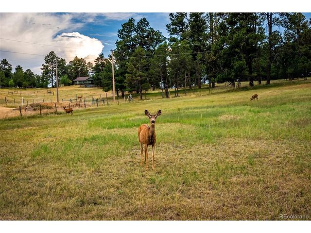 7573 Pine Crest Dr, Kiowa, CO 80117