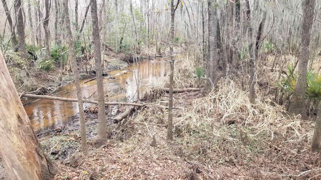 3120 High Market St., Georgetown, SC 29440