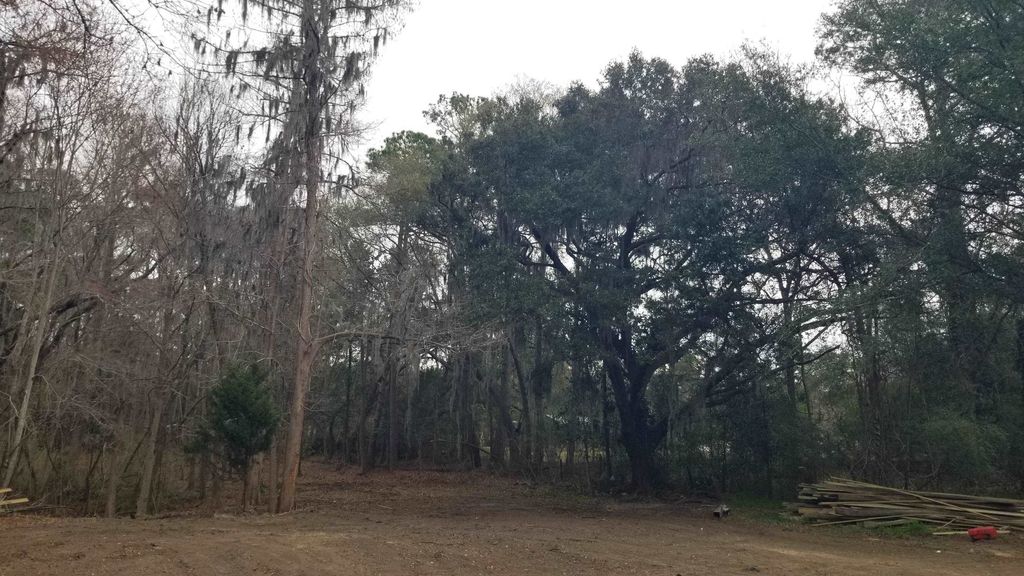 3120 Highmarket St., Georgetown, SC 29440 — photo 2