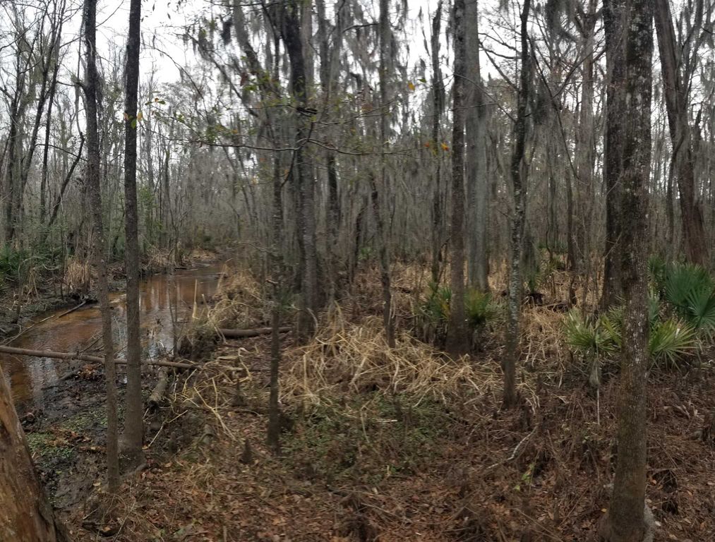 3120 Highmarket St., Georgetown, SC 29440 — photo 3