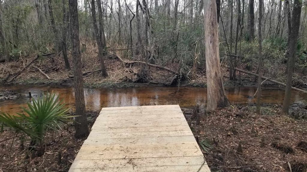 3120 Highmarket St., Georgetown, SC 29440 — photo 4