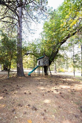 10070 Swiss Ranch Rd, Mountain Ranch, CA 95246