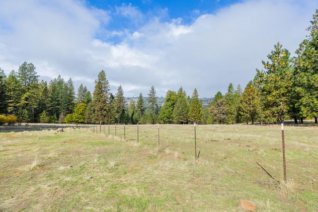 10070 Swiss Ranch Rd, Mountain Ranch, CA 95246