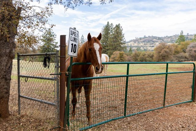 10070 Swiss Ranch Rd, Mountain Ranch, CA 95246